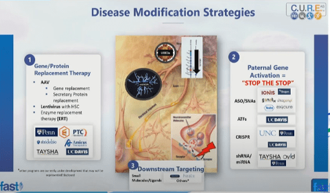 Strategie terapeutiche sindrome di angelman