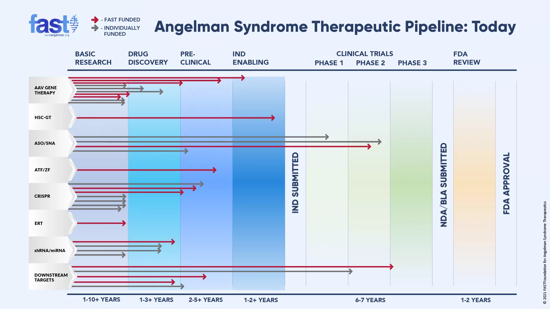 cure sindrome angelman - Pipeline terapeutica